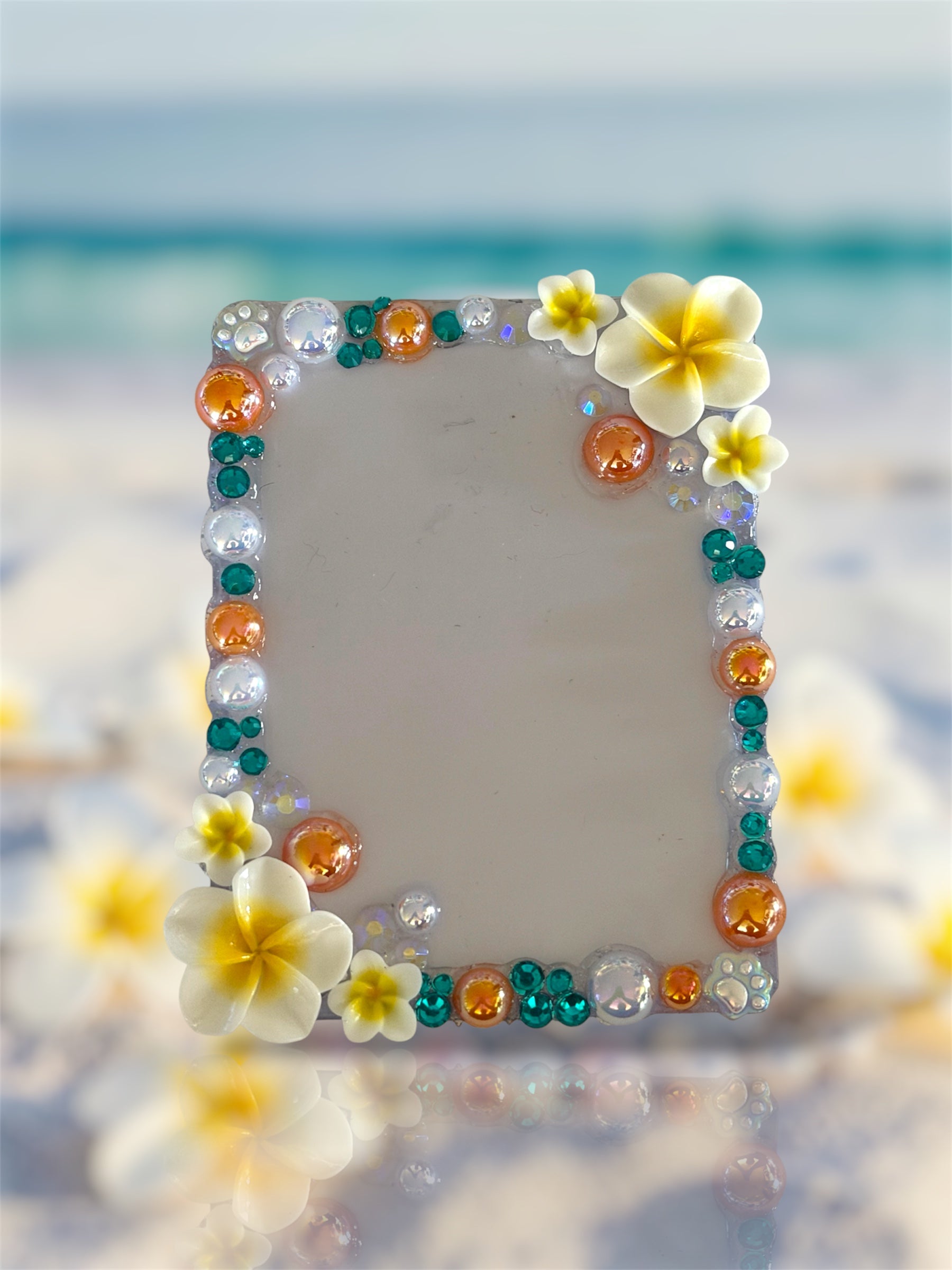 Ocean Plumeria Decoden Frame